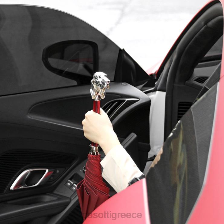 ομπρέλα | PASOTTI 478fa oxf-4 w40pr - κόκκινη ομπρέλα με ασημί κυνηγόσκυλο 2N6B827 άνδρες